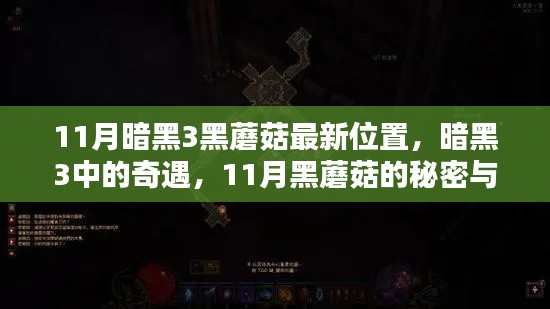 暗黑3黑蘑菇奇遇揭秘,友情温暖与秘密探寻,最新位置揭秘(11月版)