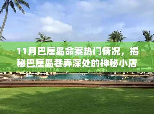 巴厘岛神秘小店背后的故事,揭秘十一月命案真相