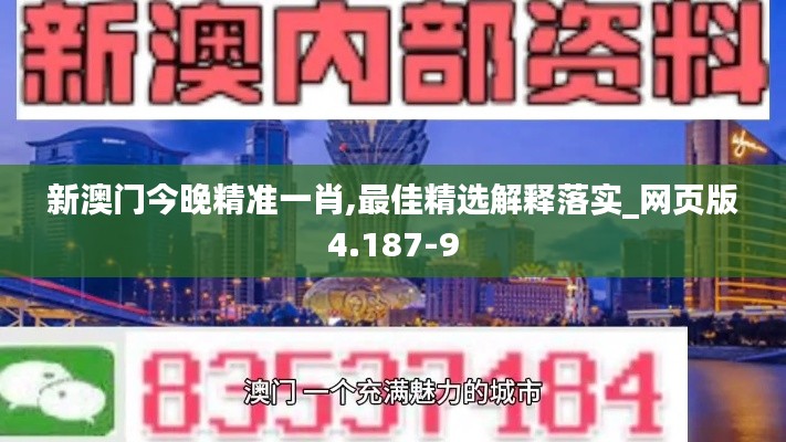 新澳门今晚精准一肖,最佳精选解释落实_网页版4.187-9