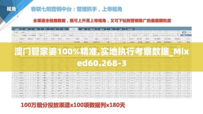 澳门管家婆100%精准,实地执行考察数据_Mixed60.268-3