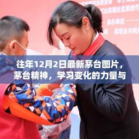 往年12月2日茅台最新动态,精神传承与自信成就之舞