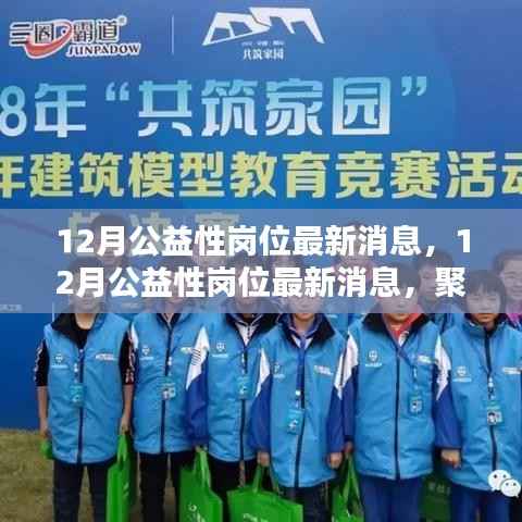 聚焦要点,12月公益性岗位最新消息,共筑和谐社会之光