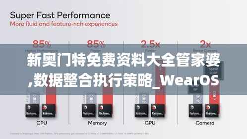 新奥门特免费资料大全管家婆,数据整合执行策略_WearOS2.420-8