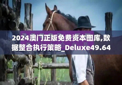 2024澳门正版免费资本图库,数据整合执行策略_Deluxe49.640-6