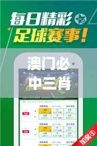 澳门必中三肖三码凤凰网直播,可靠设计策略执行_投资版5.559
