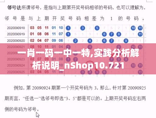 一肖一码一中一特,实践分析解析说明_nShop10.721