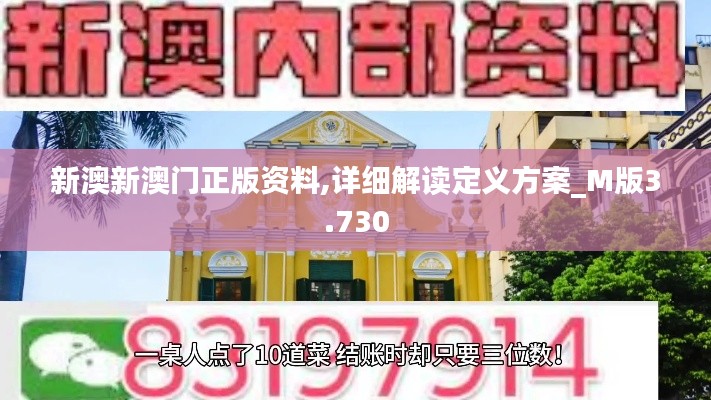 新澳新澳门正版资料,详细解读定义方案_M版3.730