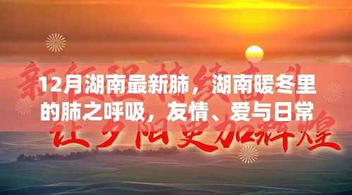 湖南暖冬肺语,友情、爱与日常的温馨故事