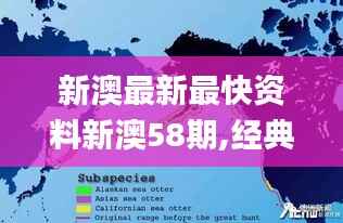 新澳最新最快资料新澳58期,经典解答解释定义_Superior6.702