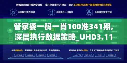 管家婆一码一肖100准341期,深层执行数据策略_UHD3.115