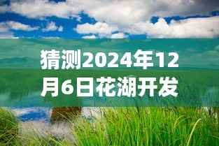 探秘花湖开发区,2024年12月6日热门房价预测与独特巷弄风情揭秘