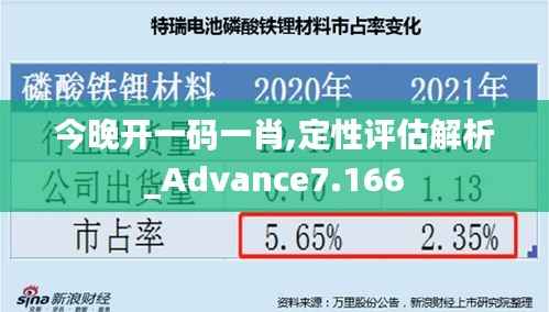 今晚开一码一肖,定性评估解析_Advance7.166
