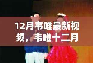 韦唯十二月最新视频,音乐与生活的独特交融揭秘