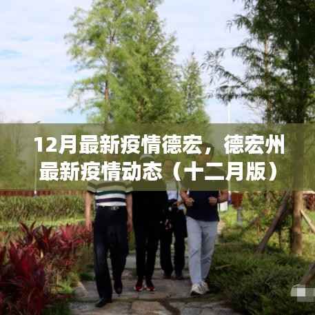 德宏州最新疫情动态（十二月版），关注要点与防控科普知识普及