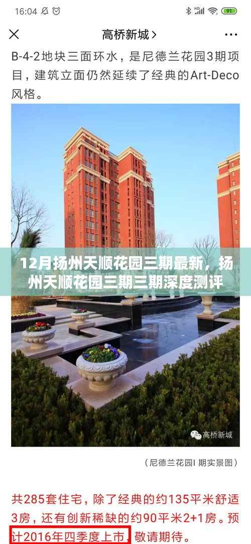 夫妻本是同林鸟 第4页