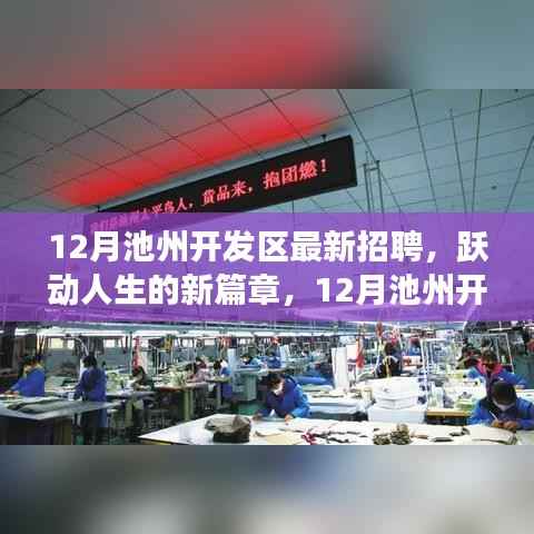 12月池州开发区火热招聘启幕，跃动人生的变化与成长之旅