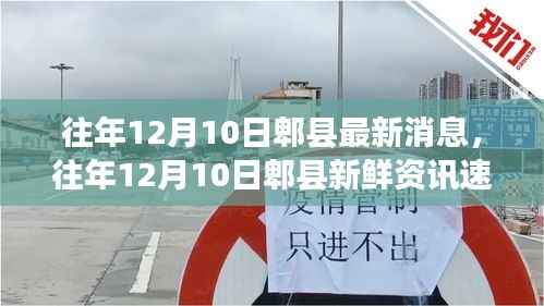 往年12月10日郫县动态速递,最新消息与新鲜资讯汇总