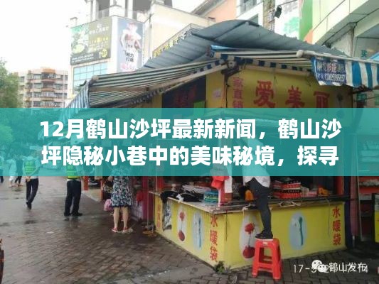 鹤山沙坪隐秘小巷美食秘境,最新特色小店探寻报道