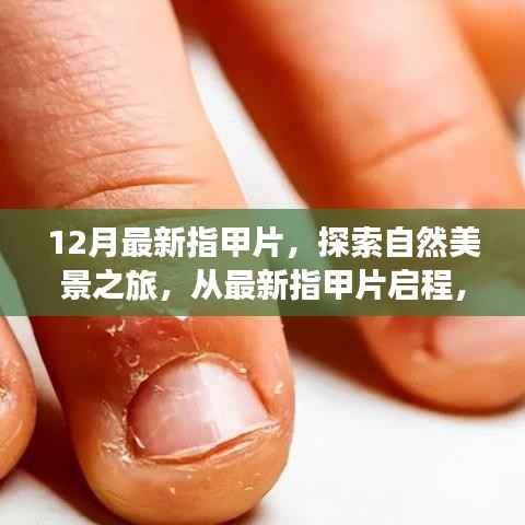 最新指甲片引领自然美景之旅,寻找内心的宁静与平和