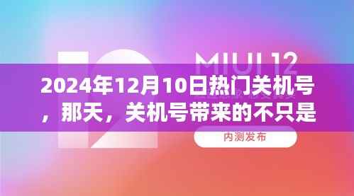 2024年热门关机号背后的幸运与挑战