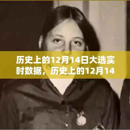 深度解析,历史上的12月14日大选实时数据与幕后解析