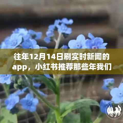 历年十二月十四日实时新闻APP精彩回顾,小红书推荐与共同见证
