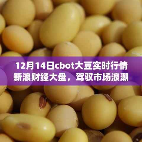 12月14日CBOT大豆实时行情下的励志航程,学习变化成就自信与辉煌