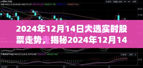 揭秘，2024年大选背后的股票走势深度解析与实时动态预测（实时更新至2024年12月14日）