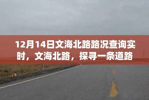 文海北路实时路况变迁，繁忙都市中的探寻之路