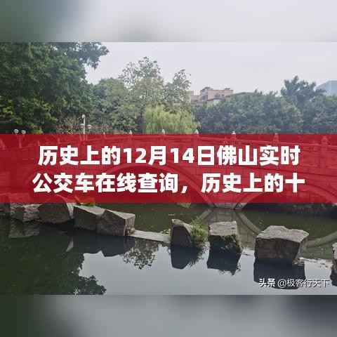 历史上的佛山公交变迁,十二月十四日实时在线查询回顾