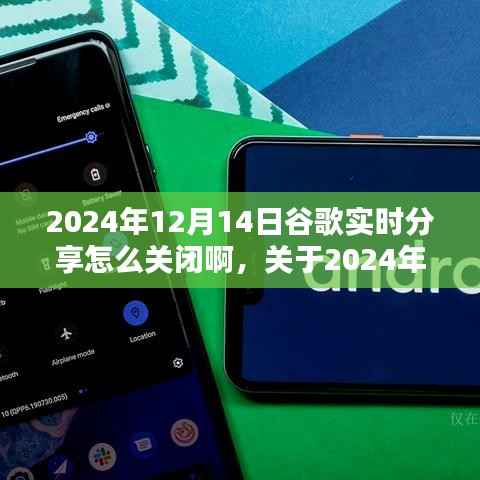 关于谷歌实时分享关闭方法的探讨与论述，如何在特定日期（如2024年12月14日）关闭谷歌实时分享功能