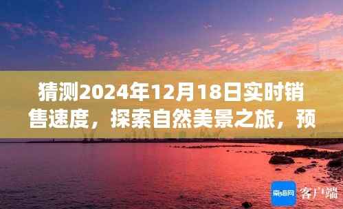 『探索未来销售奇迹，预测2024年实时销售速度，心灵之旅感受自然美景的魅力』
