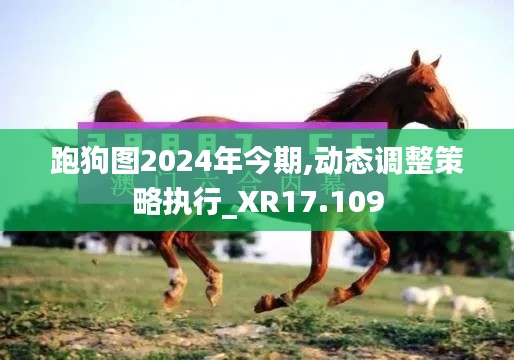 跑狗图2024年今期,动态调整策略执行_XR17.109