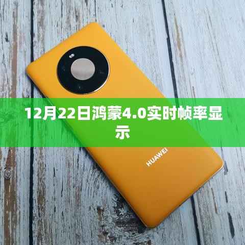 无冬无夏 第3页