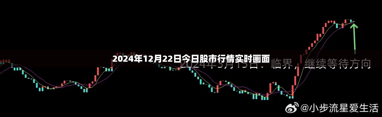 别出新意 第3页