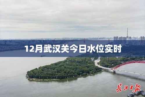 武汉关今日实时水位观察