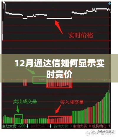 通达信实时竞价显示教程,12月操作指南