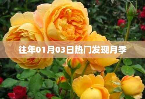 噩噩浑浑