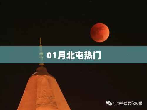 一心一意 第3页