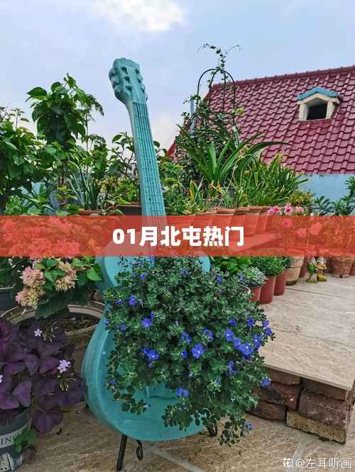 北屯一月热门事件全解析