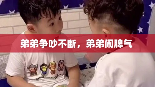 弟弟争吵不断,弟弟闹脾气