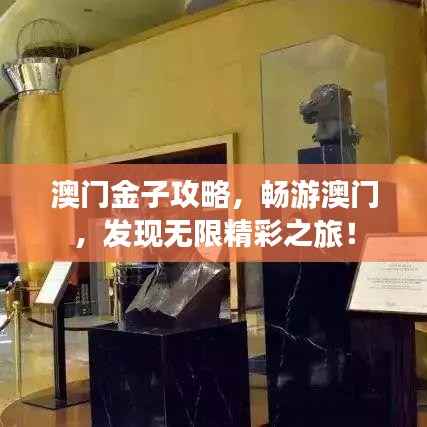 澳门金子攻略,畅游澳门,发现无限精彩之旅!