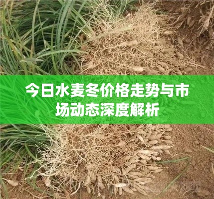 狐假虎威 第2页