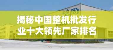 揭秘中国整机批发行业十大领先厂家排名