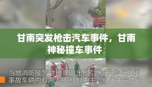 甘南突发枪击汽车事件,甘南神秘撞车事件