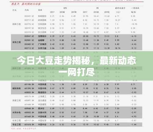 今日大豆走势揭秘,最新动态一网打尽