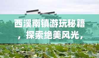 西溪南镇游玩秘籍,探索绝美风光,尽享梦幻之旅!