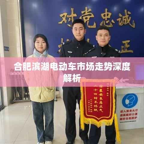 合肥滨湖电动车市场走势深度解析