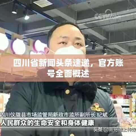 四川省新闻头条速递,官方账号全面概述