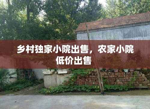 乡村独家小院出售,农家小院低价出售